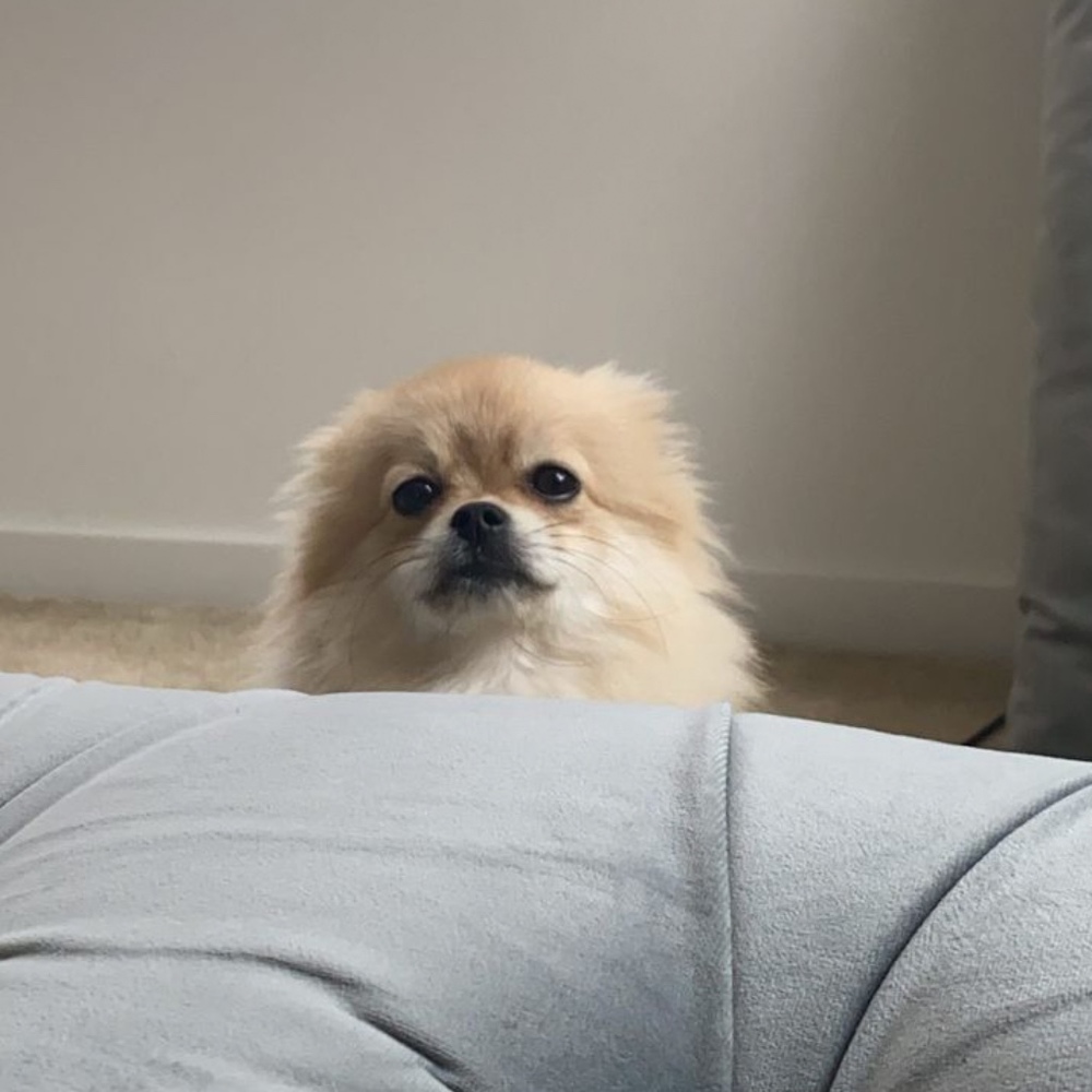 Meet your Posher, Estefania